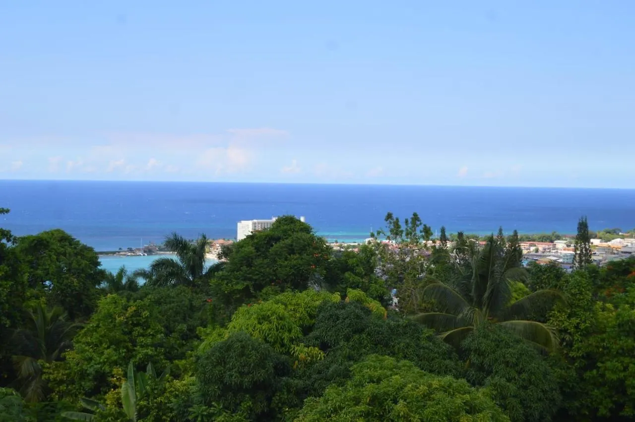 Villa Dianna - Entire Villa, Roof Terrace, Pool, Garden, Sea Views Near Dunn'S River Ocho Rios